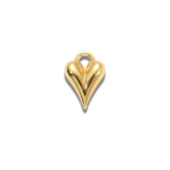 Charm n°20