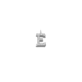 "E" magna Argentea