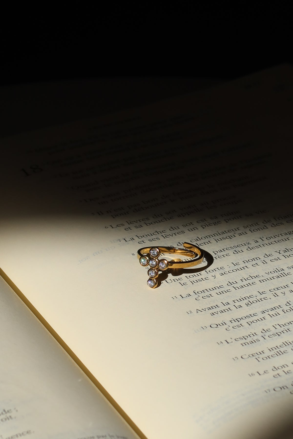 Bague Pretiosa